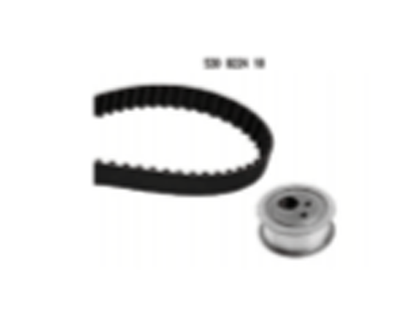 Car Timing Belt Kits for RENAULT